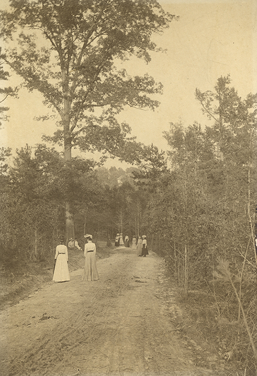 Walking period in Peabody Park