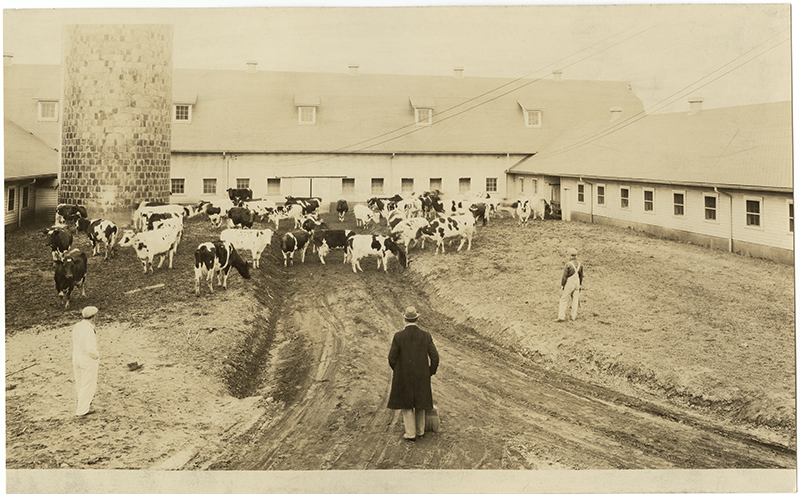 Friendship Road Dairy Farm